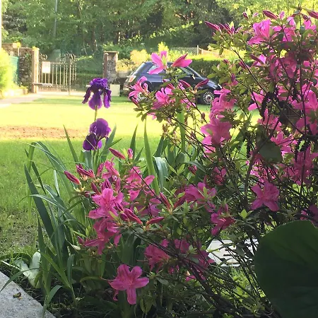 Sorriso Casa de Férias *