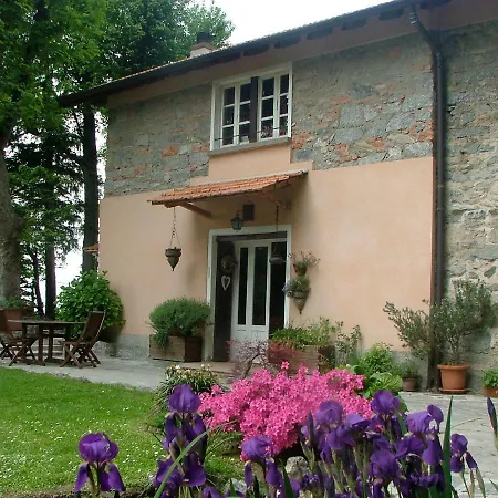 Sorriso 브루나테