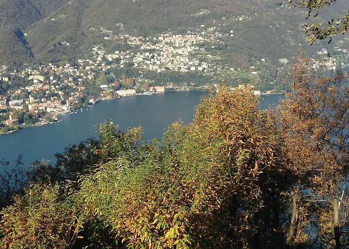 Sorriso ブルナーテ